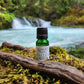 Chakra Cleanse Blend